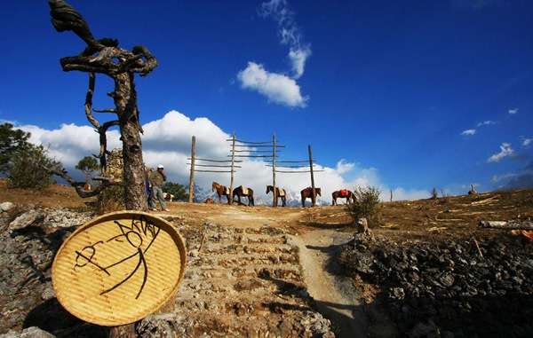 女游客麗江騎馬不給錢遭毆打
