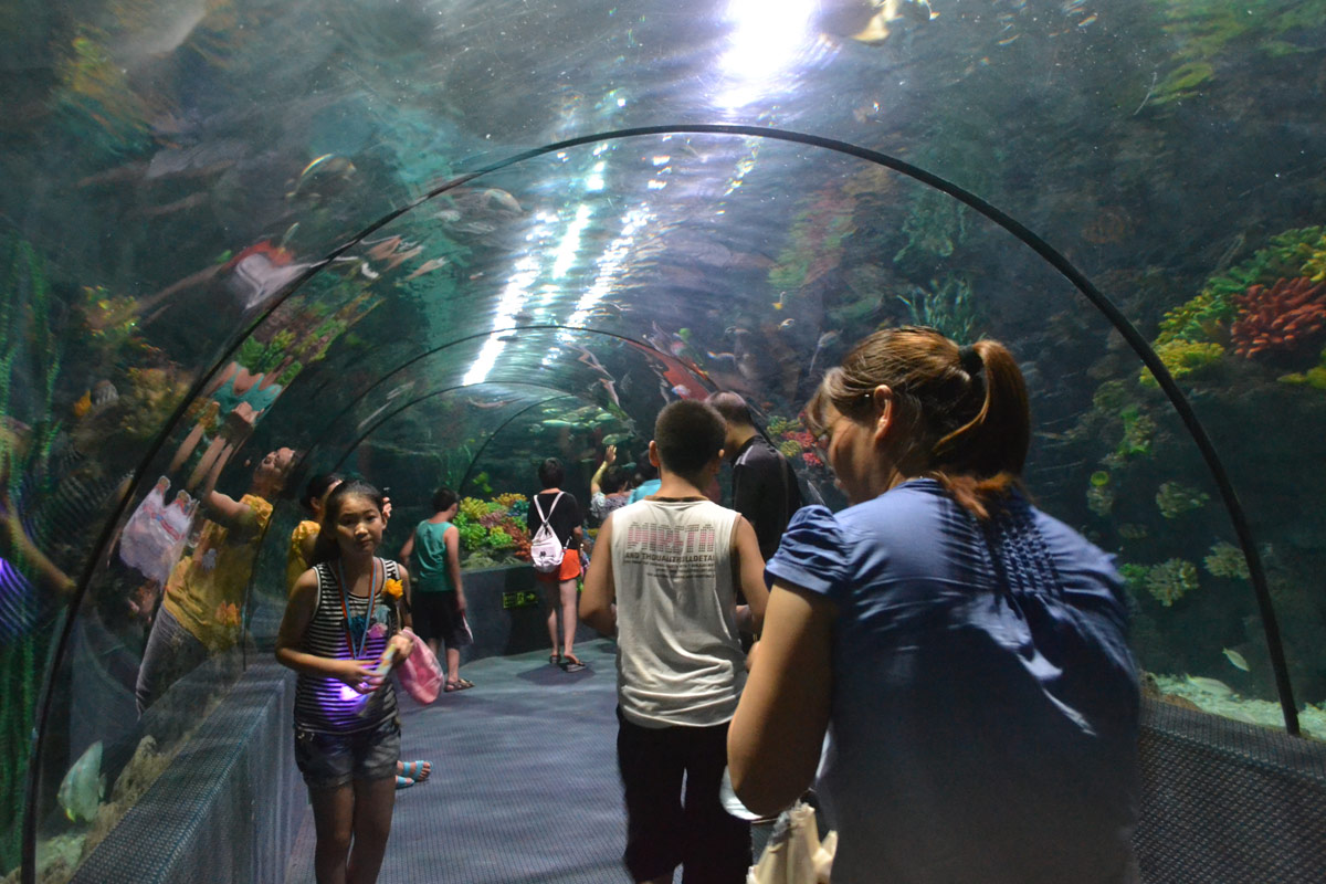 春節(jié)去哪兒？出游地圖告訴您！