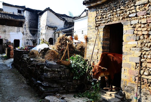 10大古村落，見證鶴壁舊時光