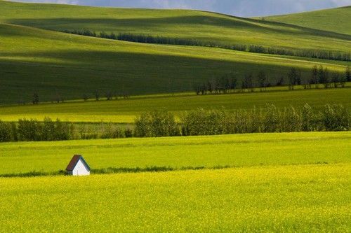 盤點全國13處絕美的油菜花觀賞地
