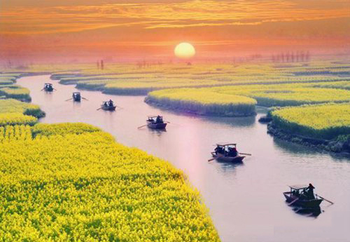 如何拍攝油菜花？達人教你7個拍攝技巧