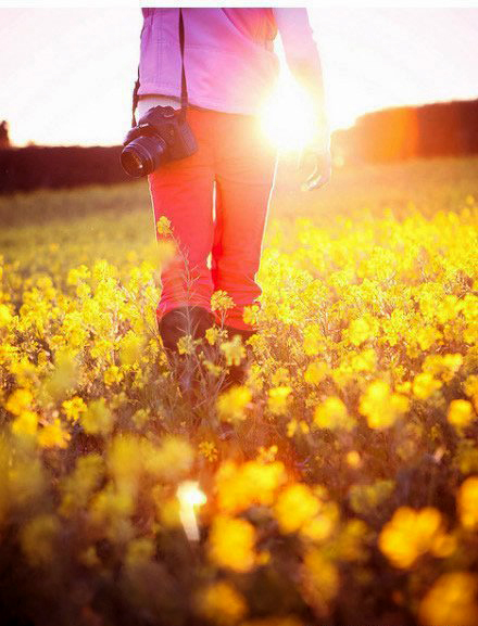 如何拍攝油菜花？達人教你7個拍攝技巧