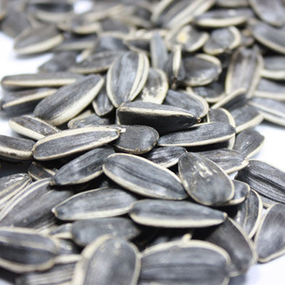 出國(guó)旅游海關(guān)檢查有講究 啥能帶啥不能帶？