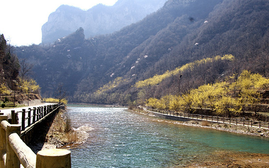 有一種呼喚，叫春天里的蟒河！