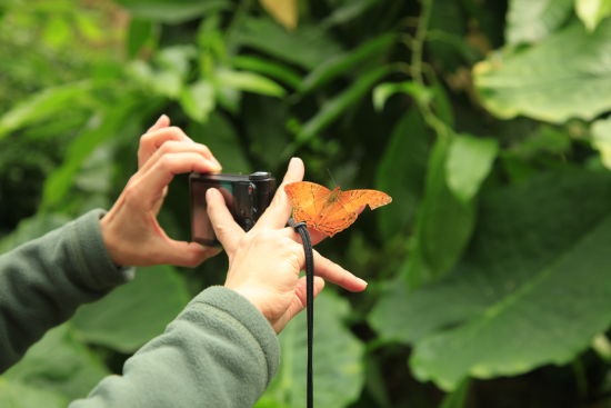 暖春四月來(lái)螢火蟲(chóng)水洞 與螢火蟲(chóng)來(lái)一場(chǎng)美麗的邂逅 暖春四月來(lái)螢火蟲(chóng)水洞 與螢火蟲(chóng)來(lái)一場(chǎng)美麗的邂逅