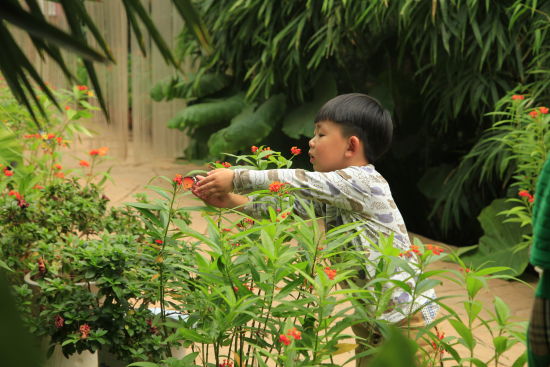 暖春四月來(lái)螢火蟲(chóng)水洞 與螢火蟲(chóng)來(lái)一場(chǎng)美麗的邂逅 暖春四月來(lái)螢火蟲(chóng)水洞 與螢火蟲(chóng)來(lái)一場(chǎng)美麗的邂逅