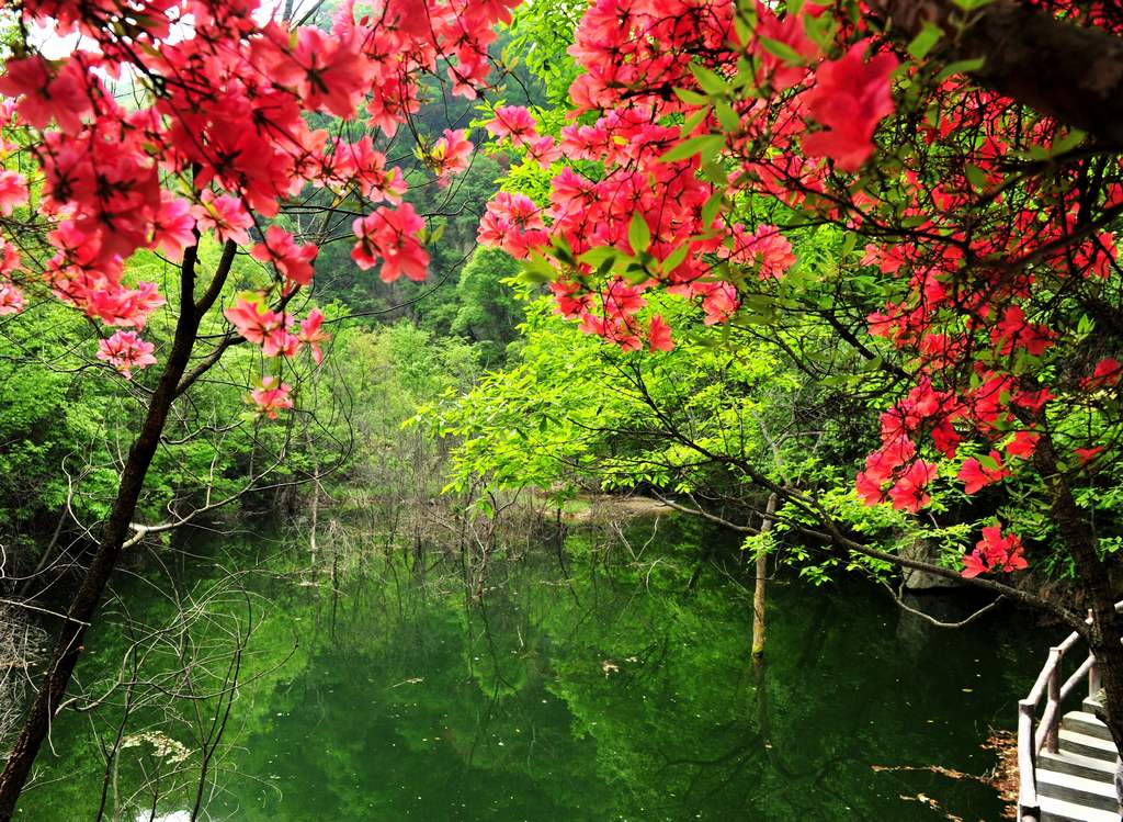 母親節(jié)河南景區(qū)優(yōu)惠大波來(lái)襲！