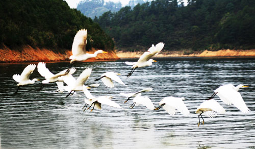 考完去哪兒？千島湖中、高考生門票大優(yōu)惠！