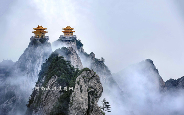 情定老君山 喊出你的愛 趕緊行動吧！