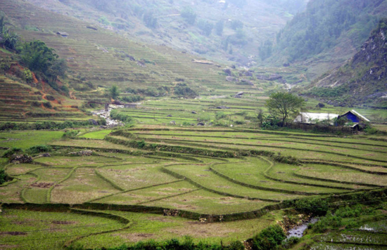 越南簽證費下調(diào) 快去感受東南亞風情