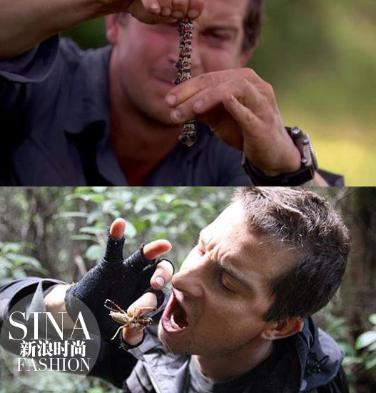 昆蟲經(jīng)常吃 昆蟲經(jīng)常吃