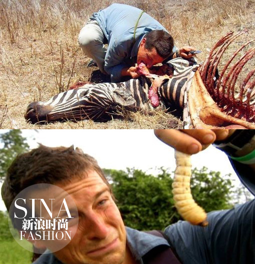 大型動物和肉蟲子……也都能生吞活剝! 大型動物和肉蟲子……也都能生吞活剝!