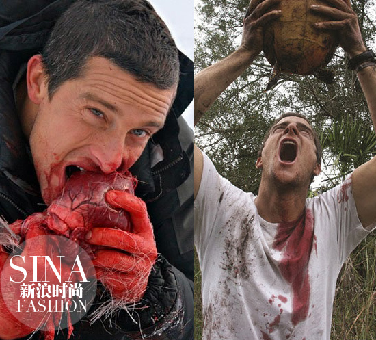 動物內(nèi)臟&烏龜?shù)难? style= 動物內(nèi)臟&烏龜?shù)难? uploadpic=