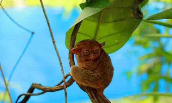 適合在冬天旅游的十個(gè)絕美海島！
