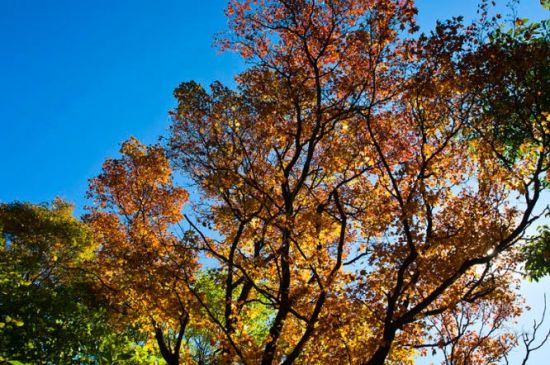 秋天，美好的季節(jié)