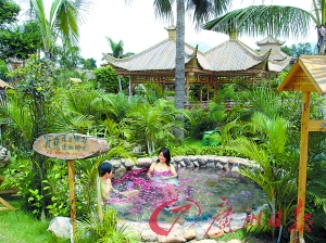 溫泉區(qū)樹木蔥蔥。