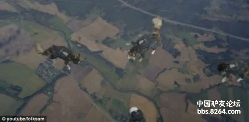 瑞典小貓表演“高空跳傘”空中變換隊形似大雁 瑞典小貓表演“高空跳傘”空中變換隊形似大雁