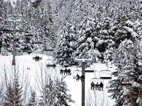 阿拉斯加，阿里耶斯卡