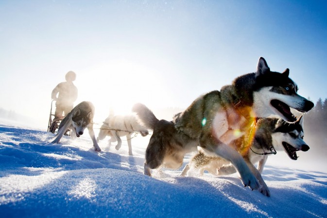 冬季貝加爾,適合享受冰上運(yùn)動(dòng),狗拉雪橇、雪上摩托車(chē)、雪地徒步等都是不錯(cuò)的選擇 F5.6,1/115秒