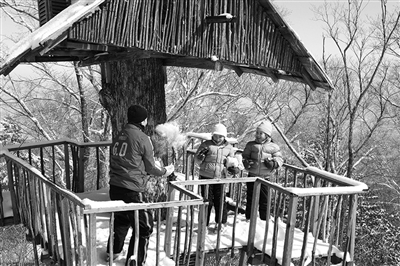 　　clubmed里有來(lái)自國(guó)外的滑雪教練教兒童滑雪?！? oldsrc=