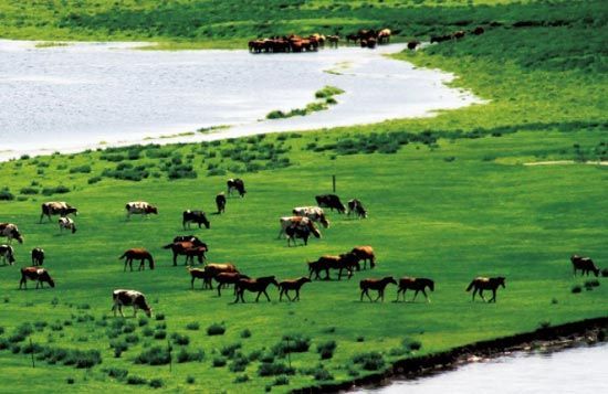 　　處處翠色欲流,馬兒自然入畫?！? complete=