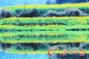 　　江嶺梯田落差不大,但有花有水。