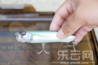 　　又稱擬餌釣魚,起源于歐洲,國內(nèi)翻譯為“路亞”。