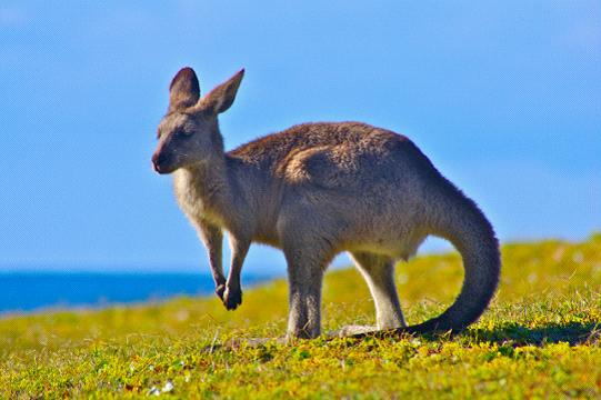 全家出國(guó)游去哪里？推薦十佳旅游勝地