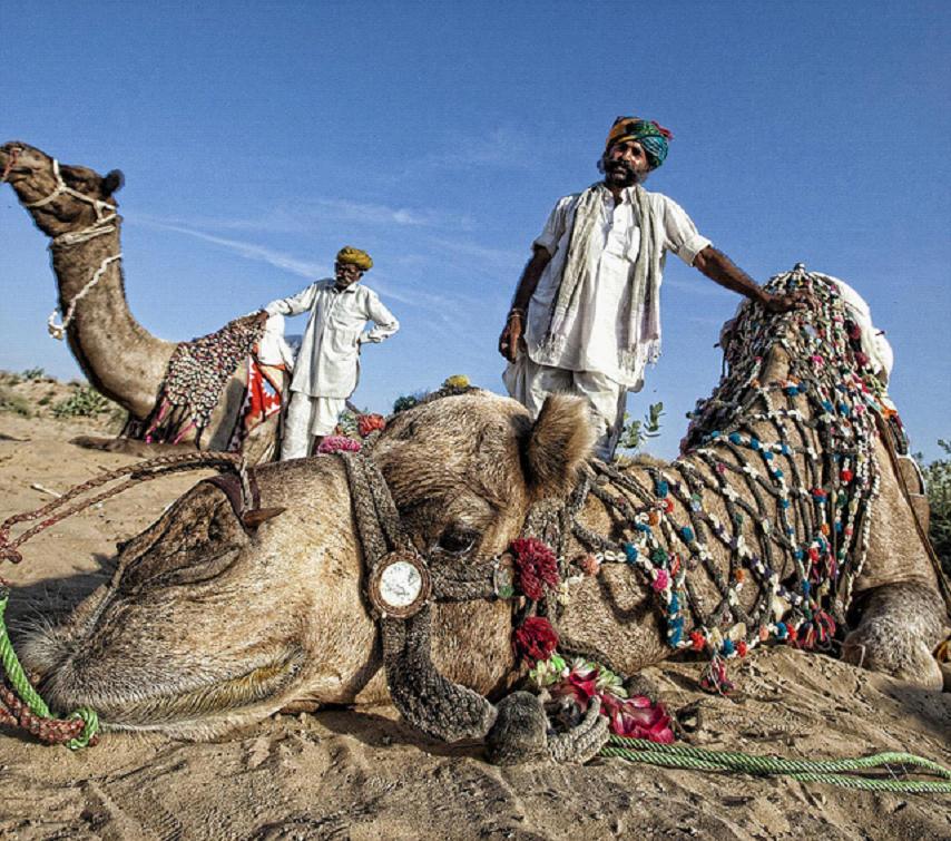 全家出國(guó)游去哪里？推薦十佳旅游勝地