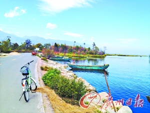 洱海的藍(lán)讓人沉醉。