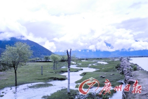 小路的一側是小溪,另一側是河流。