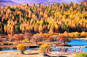 　　呼倫貝爾秋色。