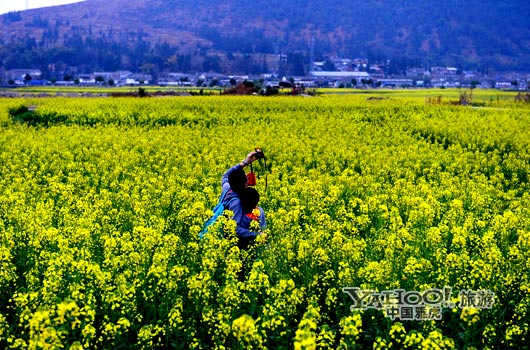 　　不論從人文氣息還是田園自然風光,都值得我們停靠。(圖片來源:CFP)