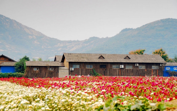 別樣蜜月，河南最適宜新婚度假的景區(qū)