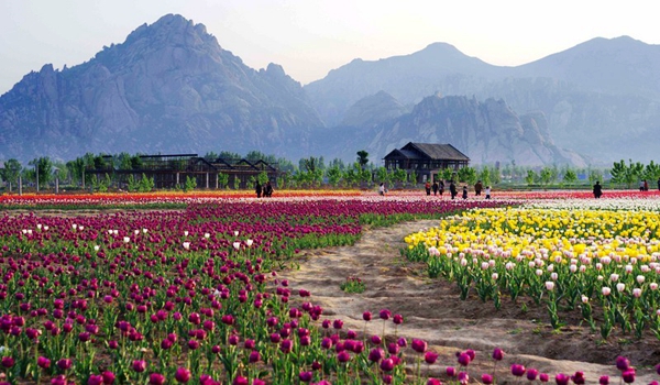 別樣蜜月，河南最適宜新婚度假的景區(qū)