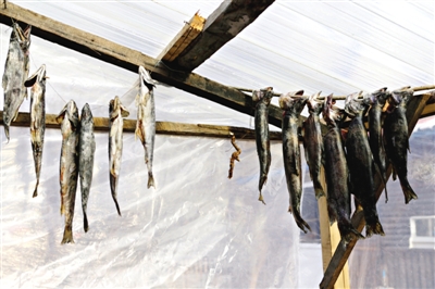 長白山腳下一家小餐館內(nèi)晾曬的冷水魚。