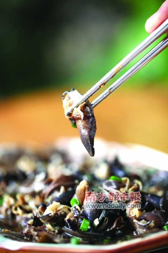 蒜蓉粉絲蒸蝸牛。