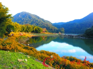 初冬的石門(mén)森林公園色彩絢爛。