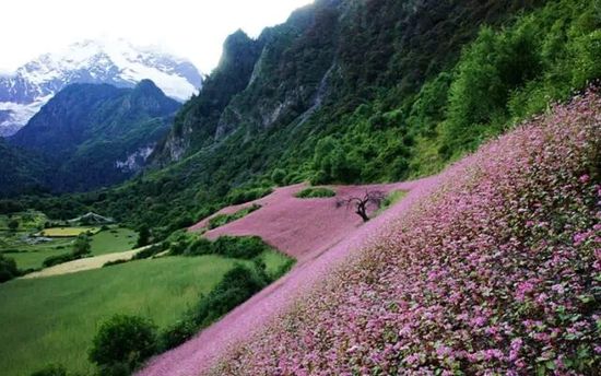 云南的另一個天堂 我約你一起去！