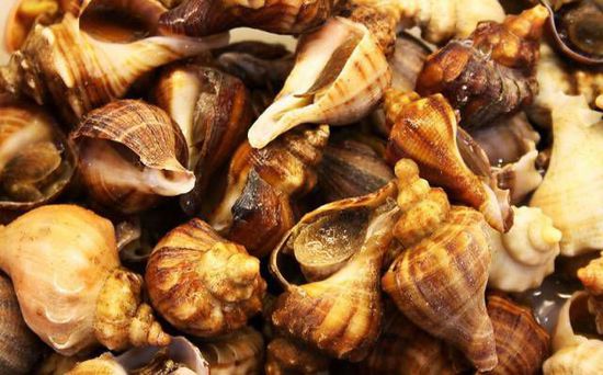 秋季最適合吃的海鮮是這10種 你吃對了嗎？