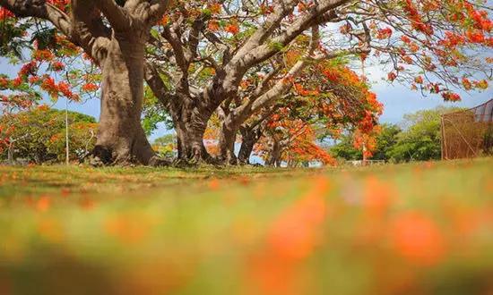適合在冬天旅游的十個絕美海島！