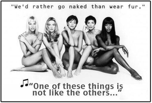 時(shí)尚圈第一組群?？棺h皮草大片