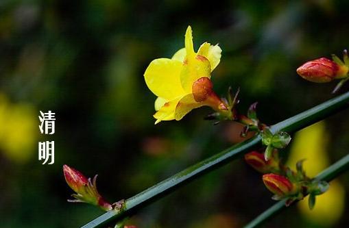 2013年清明掃墓要記住36條基本原理 2013年清明掃墓要記住36條基本原理