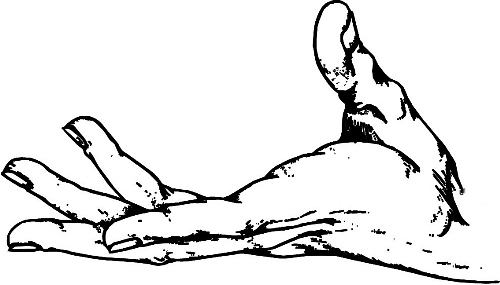 　時(shí)間：拿到通知書(shū)，未報(bào)到就可申請(qǐng)