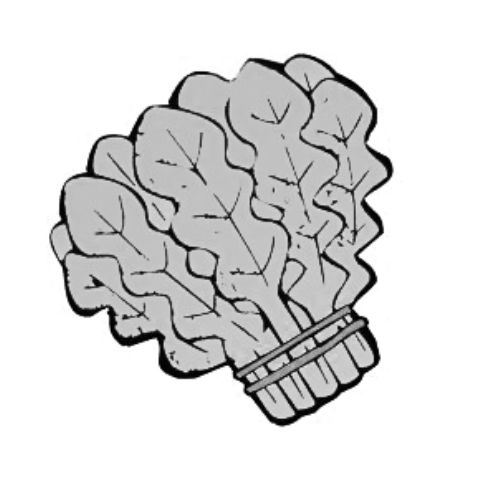 雪后菜價瘋漲15倍？沒恁夸張 元旦豬肉雞蛋或漲價