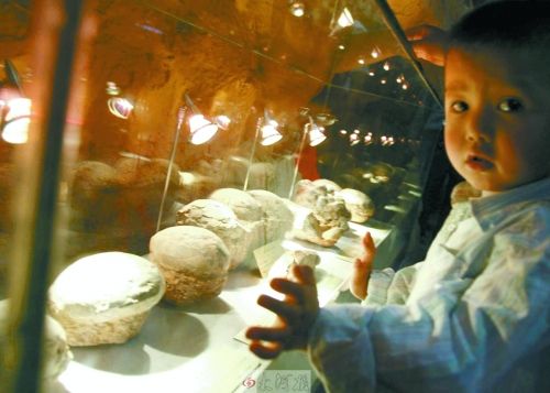 恐龍蛋，這回見(jiàn)識(shí)了吧！