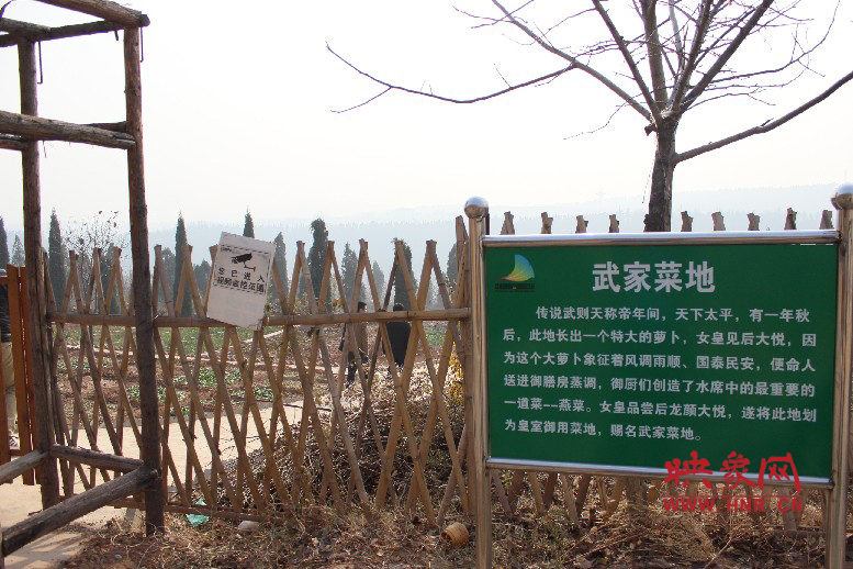 武家菜地就是這，據(jù)說里面有個特大的蘿卜