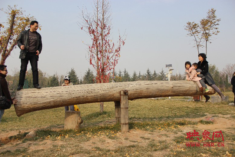 巨大的蹺蹺板，一棵樹。。?？赐娴亩噜? oldsrc=