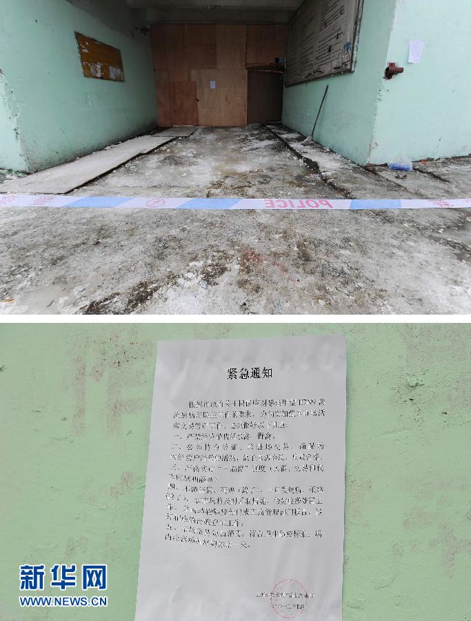 上海6日起暫?；钋萁灰?關(guān)閉所有活禽交易市場(chǎng)