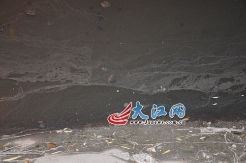 19日晚上的玉帶河，紅色河水變回灰綠色。